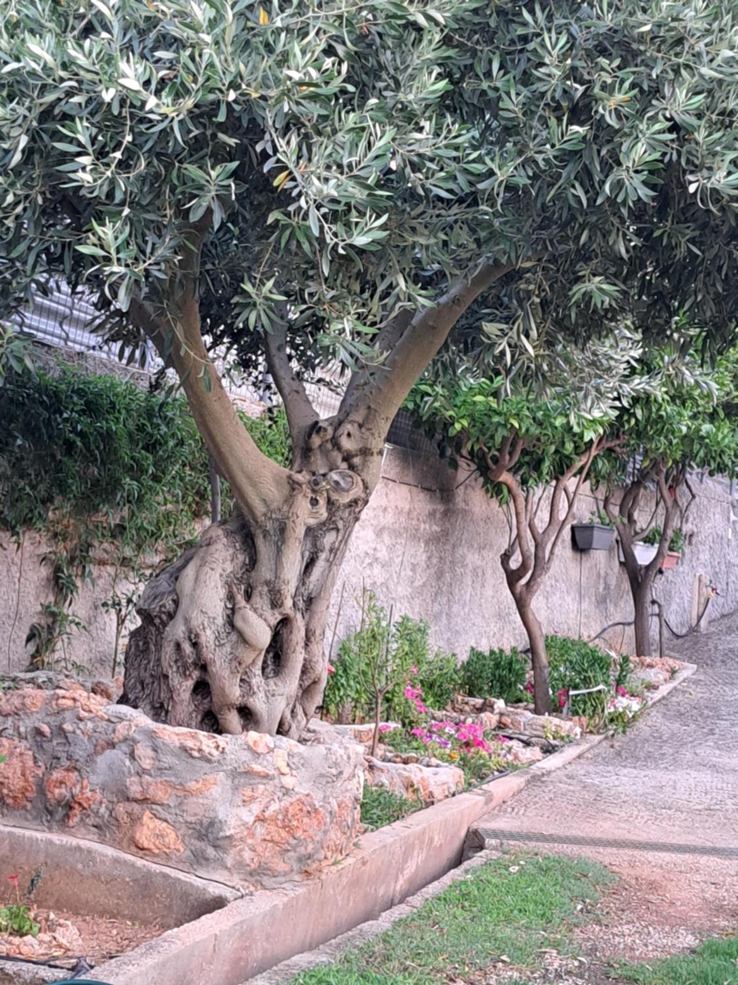 Garden House-Free Transfer From Airport Villa Artemida  Exterior photo