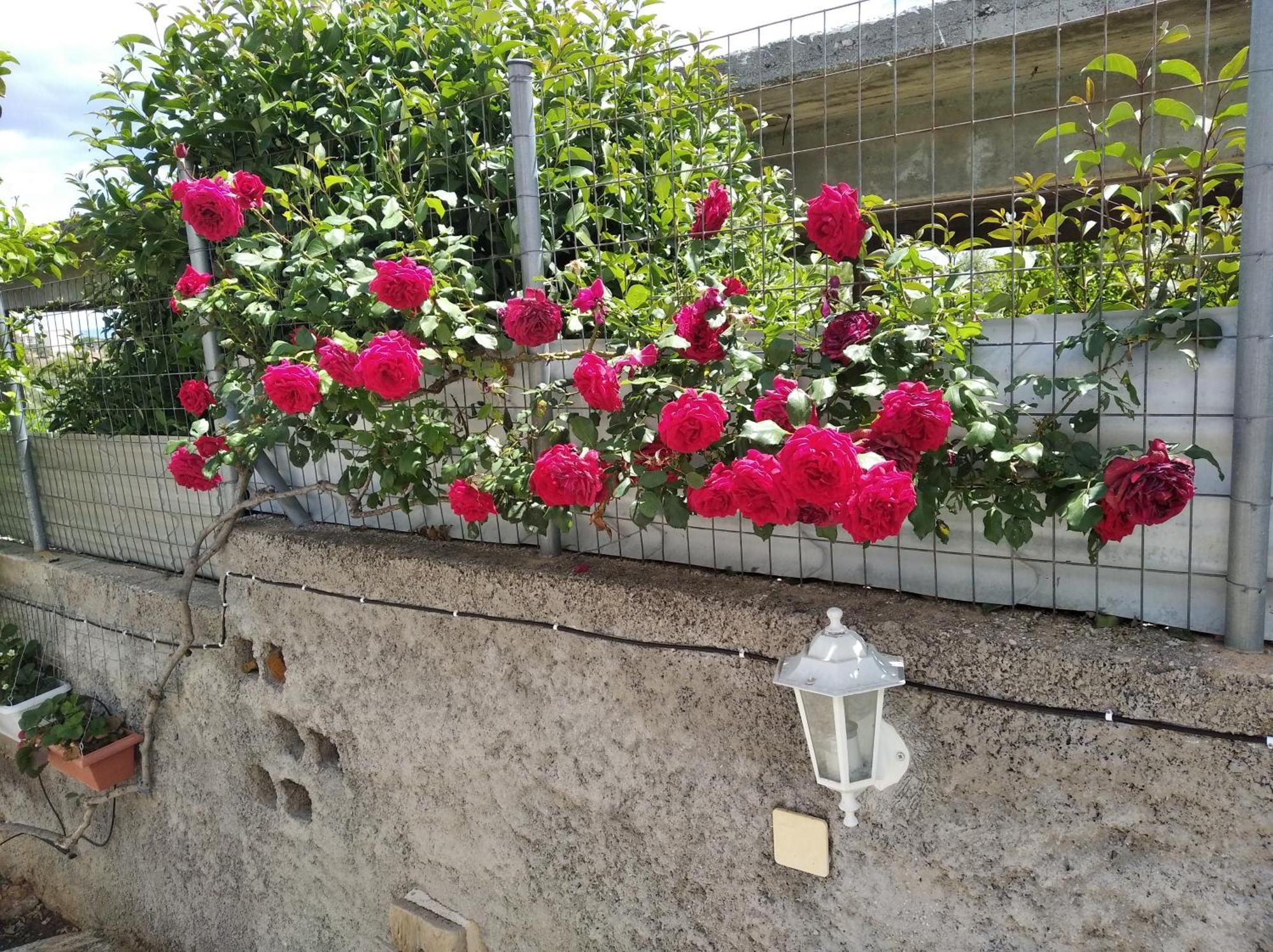 Garden House-Free Transfer From Airport Villa Artemida  Exterior photo